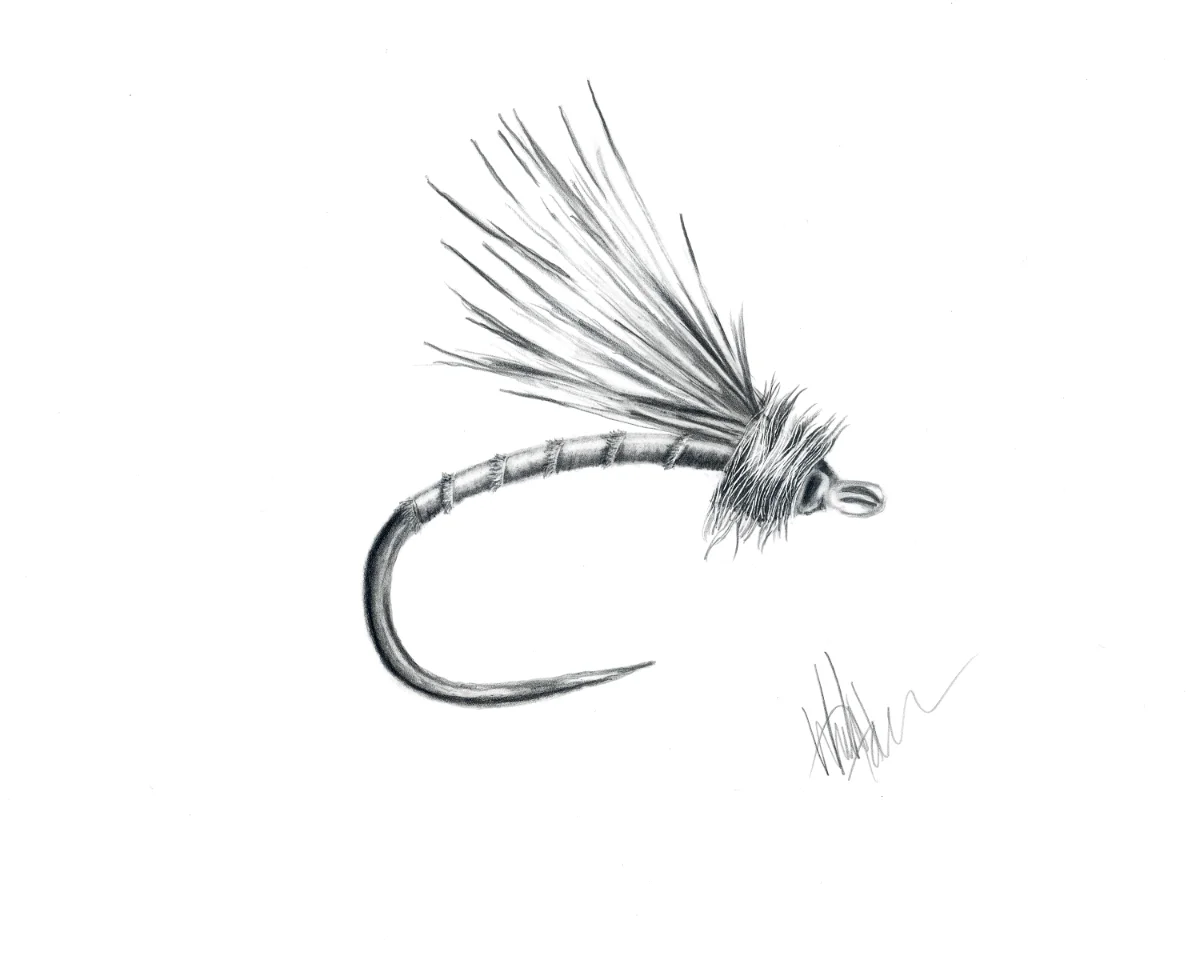 Above the Current Egg-Laying Caddis Fly